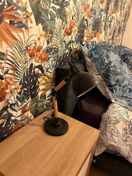 Le Floral Apartman Carcassone Kültér fotó