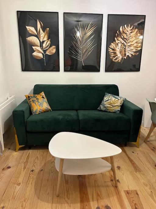 Le Floral Apartman Carcassone Kültér fotó